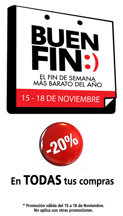 el buen fin 2013